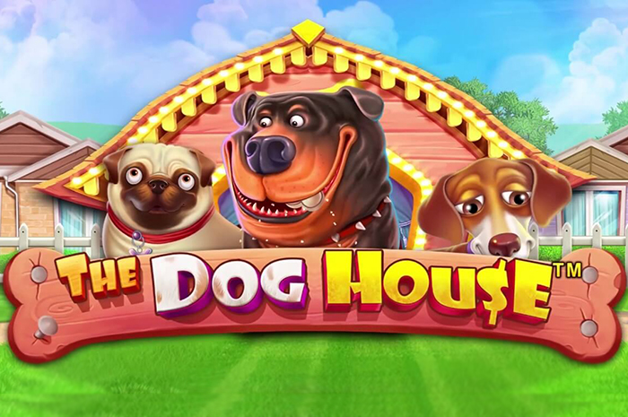 The Dog House